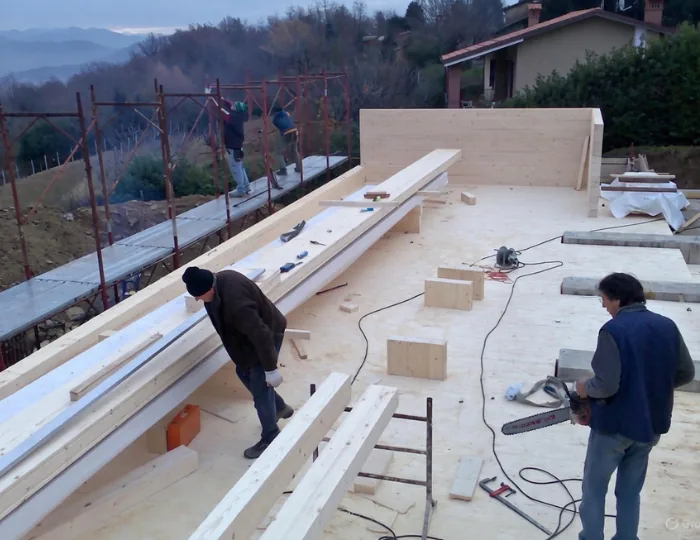 Carpenteria legno Lugano