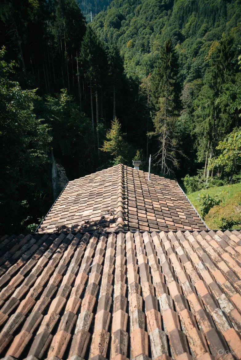 Intervento legno Canton Ticino